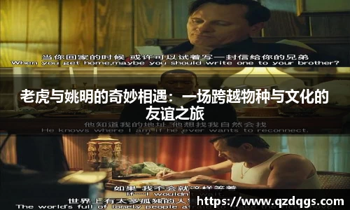 老虎与姚明的奇妙相遇：一场跨越物种与文化的友谊之旅
